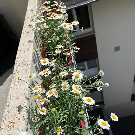 Annelise Apartment Leukerbad