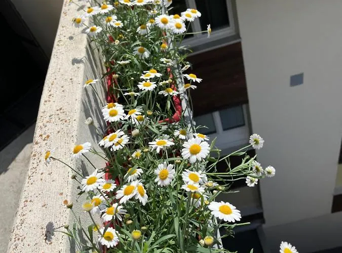 Annelise 公寓 洛伊克巴德